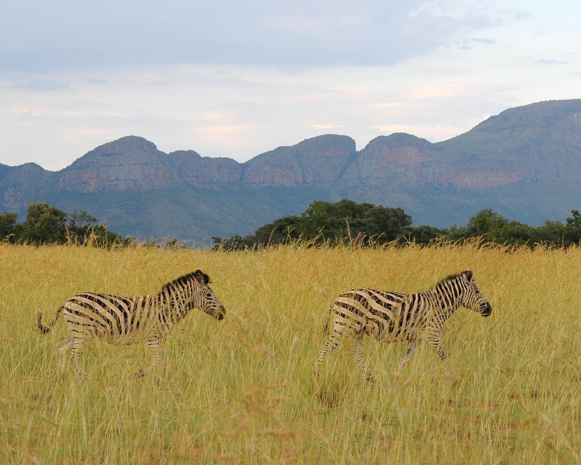 Cape Town to Johannesburg Overland Safari & Participation Camping