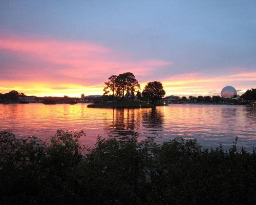 Under the Florida Sun