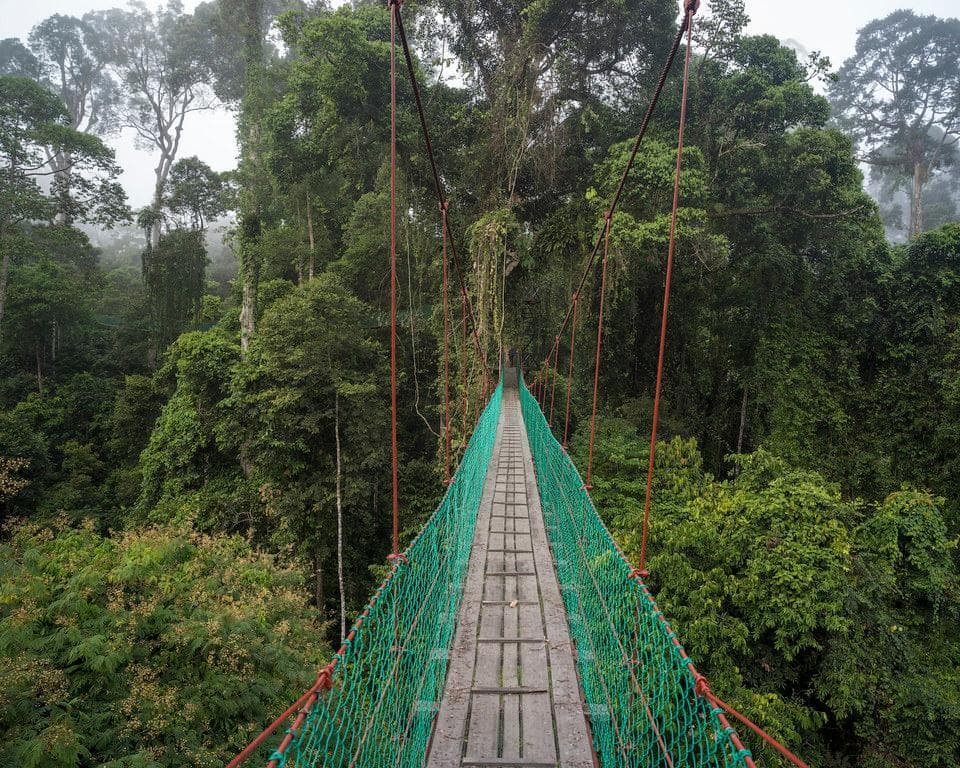 Danum Valley, Malaysia