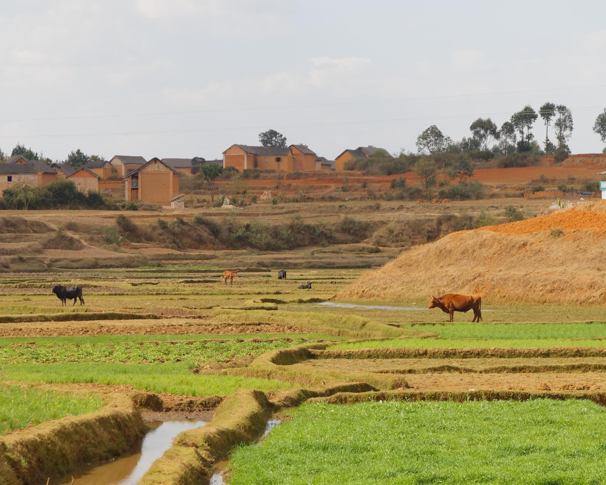Ambatolampy, Madagascar