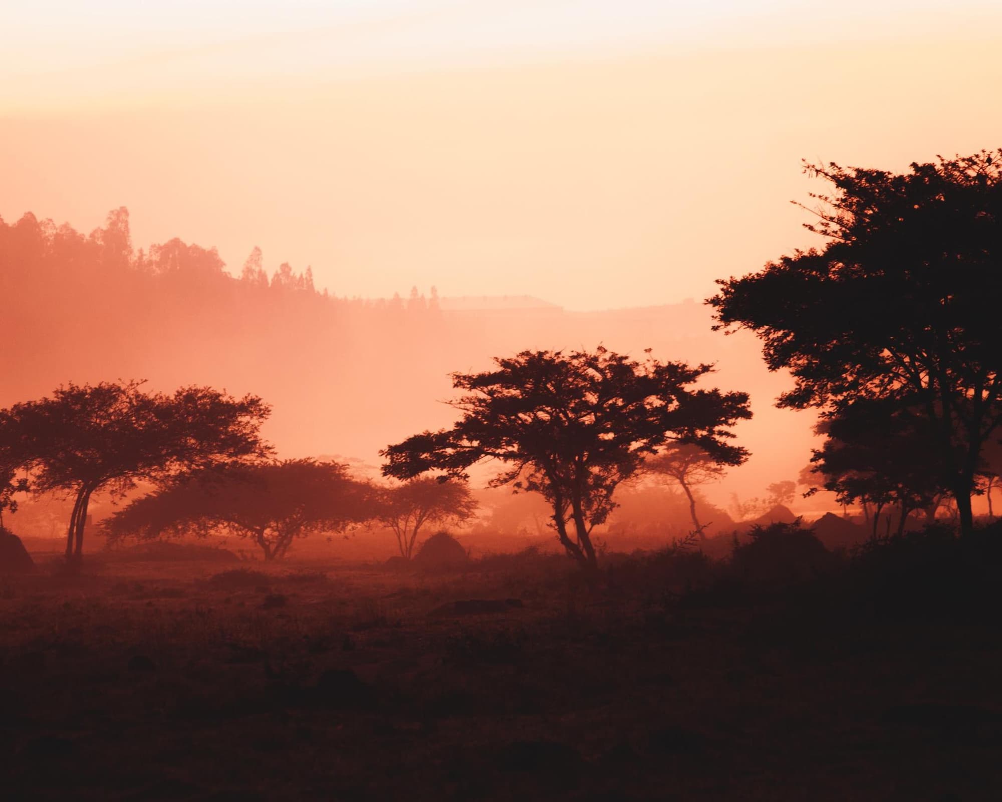 Thousand Hills Safari and Extension at Akagera National Park