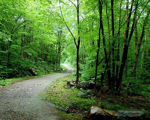 Národní les Green Mountain, Vermont, Spojené státy americké