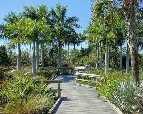 Napoli, Stati Uniti d'America