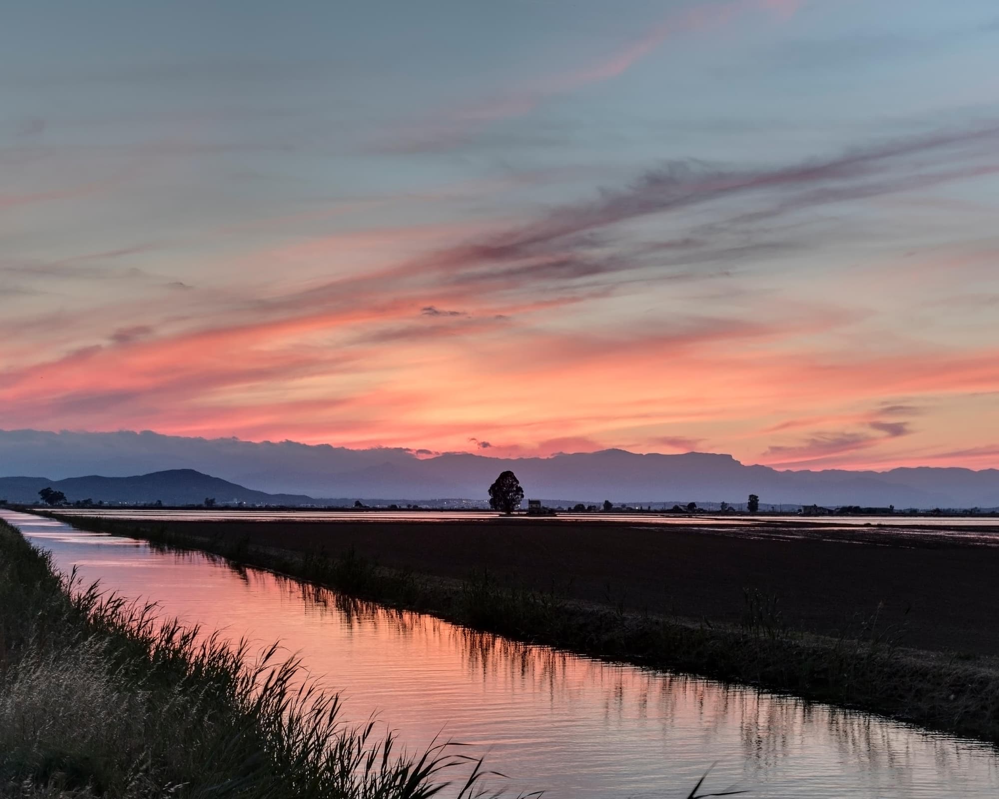 Delta del Ebro, España