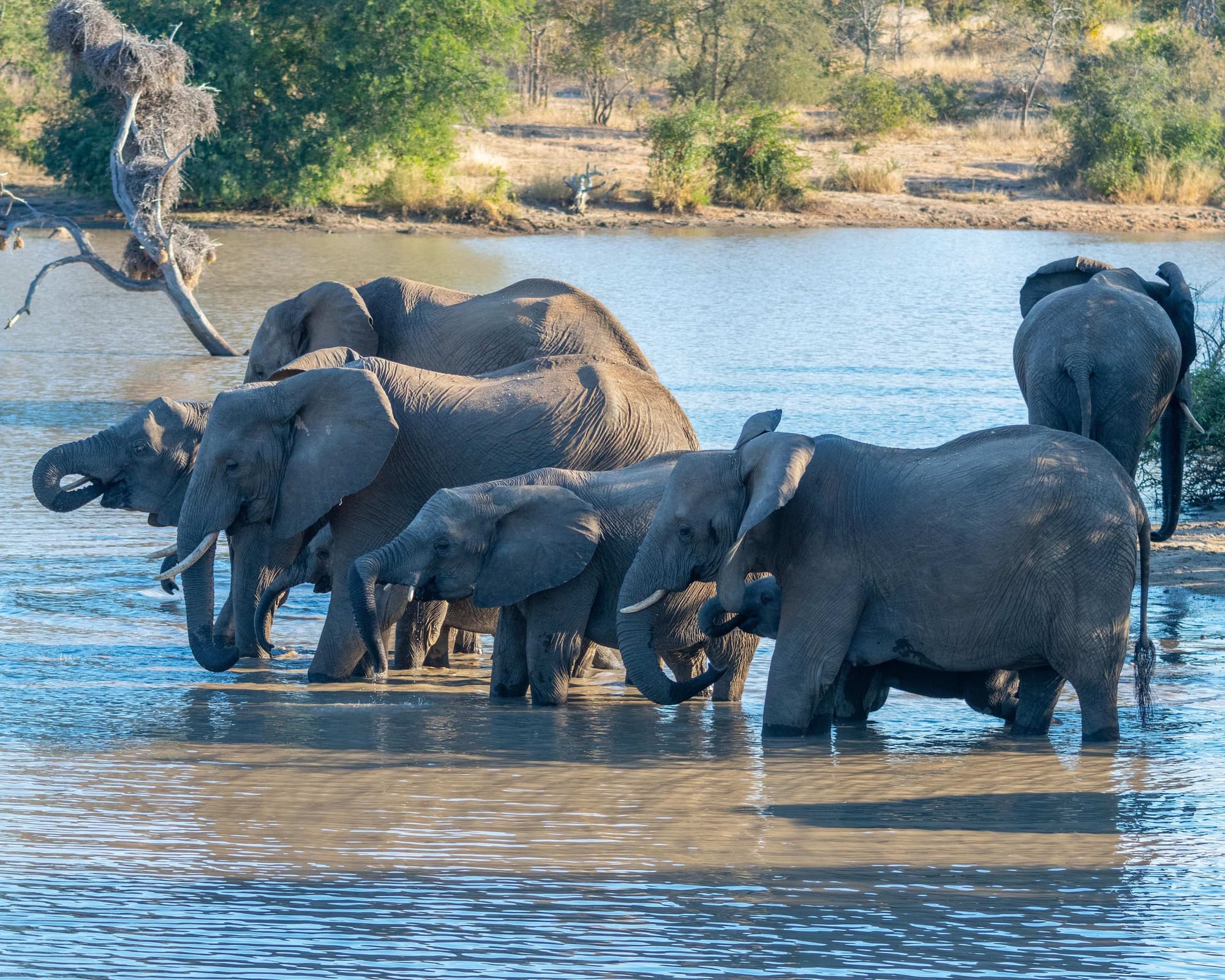 Mpumalanga Helicopter - Bell Jet Ranger Cascades & Canyon Spectacular  - 2 Hours - Max 4