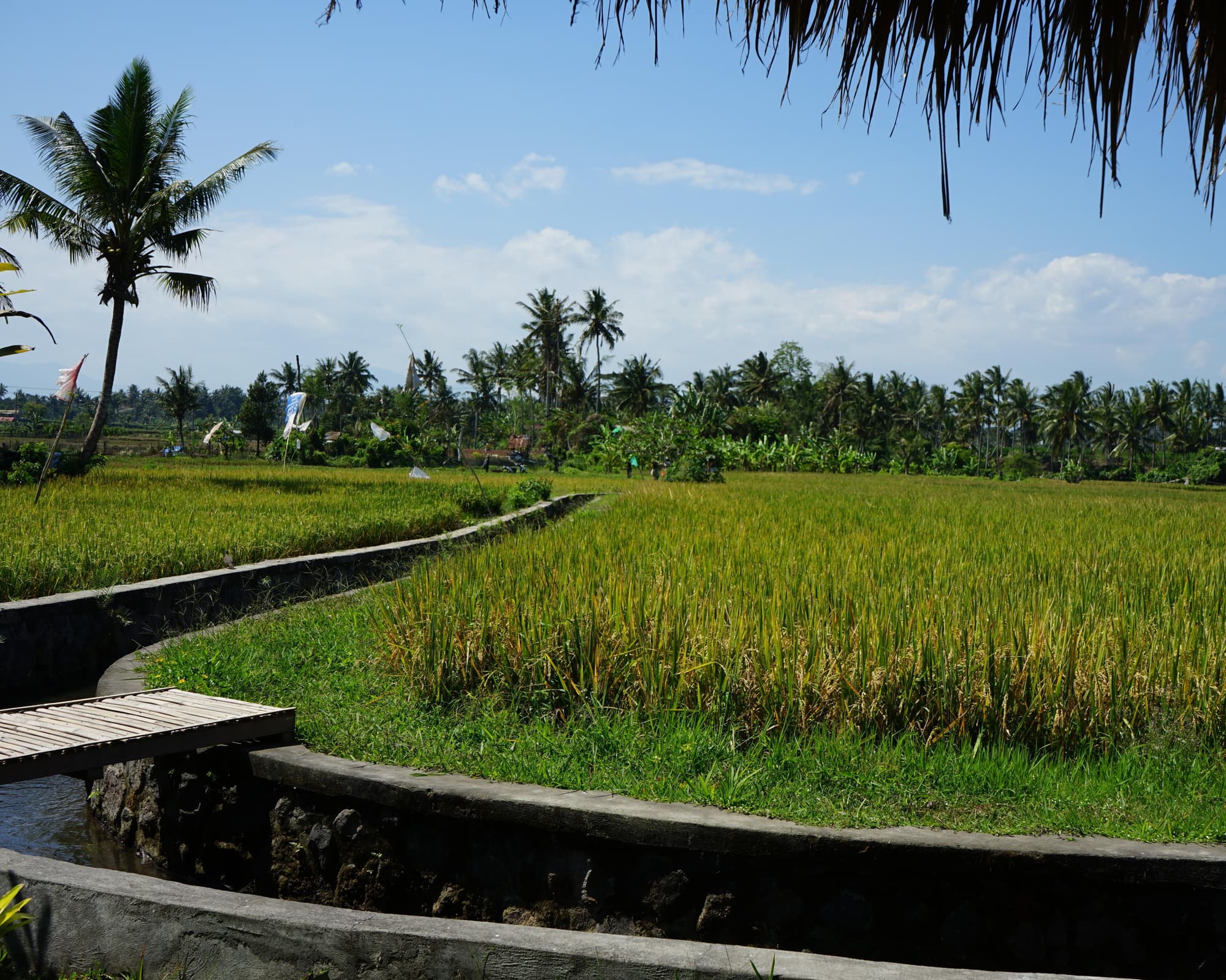 Combiné Bali Lombok : rizières et plages - 14 nuits - EUR