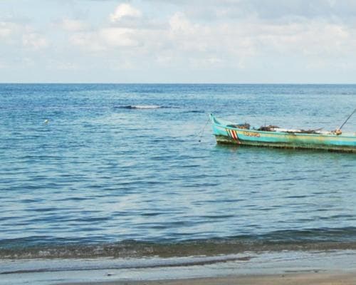 Costa Rica y Panamá (Parte Costa Rica)