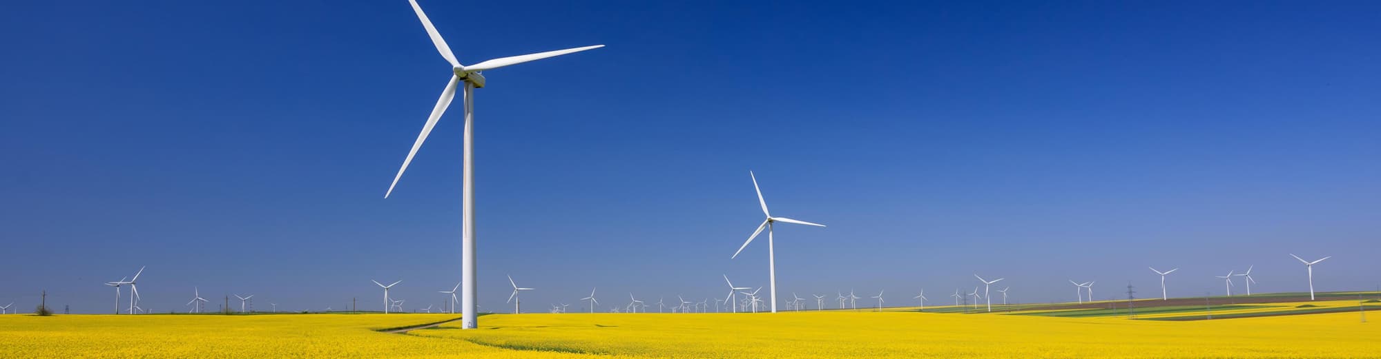 Turnu Magurele, Rumanía