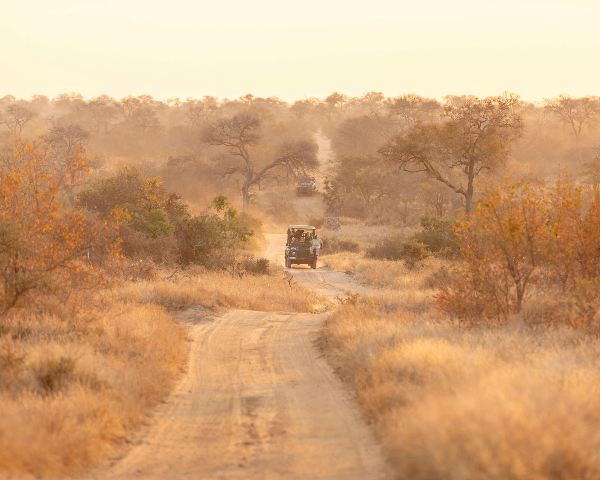 Sabi Sands Game Reserve, South Africa
