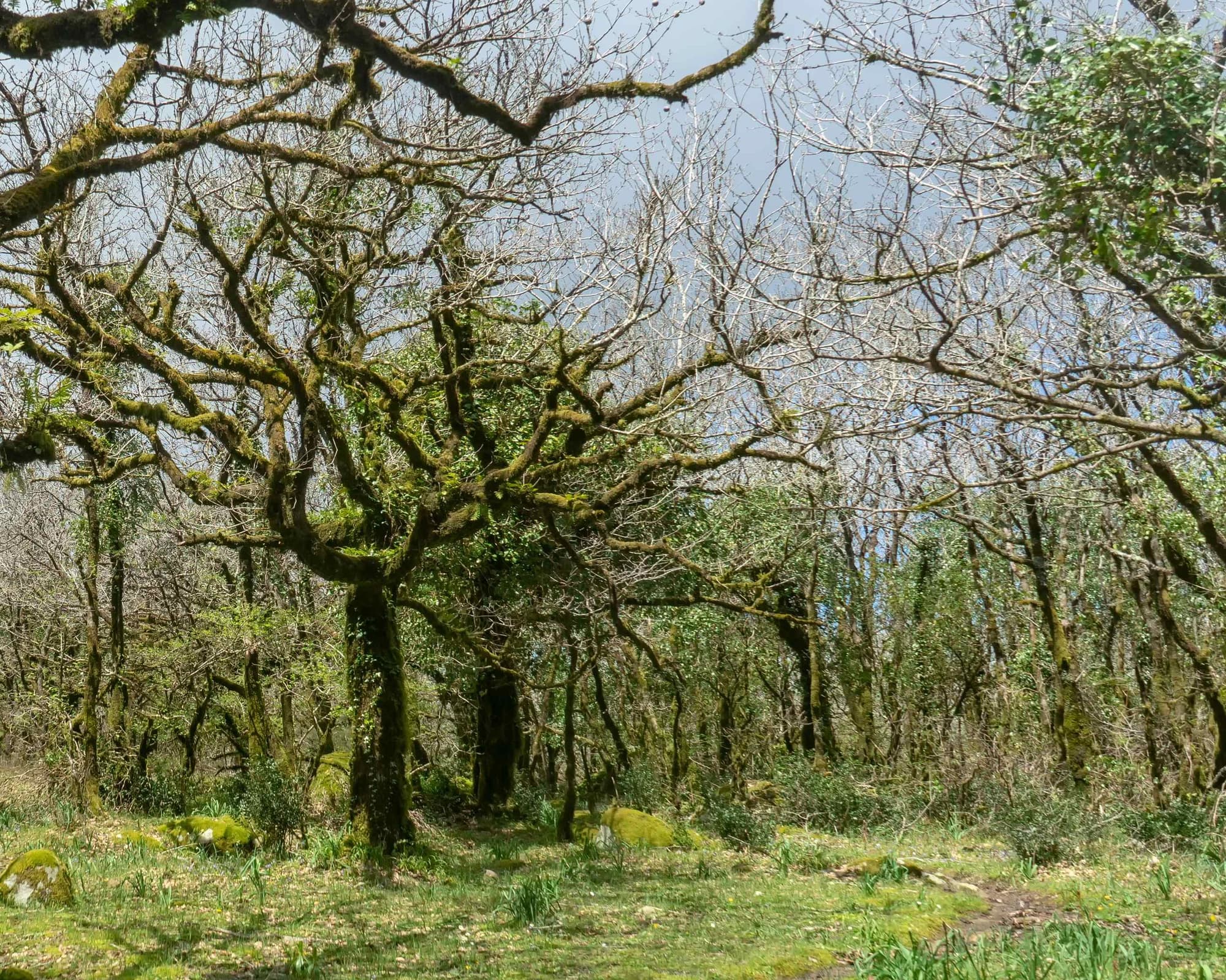 Астрономический парк Монсек, Испания