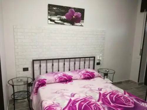 HOTEL PRIMAVERA, 