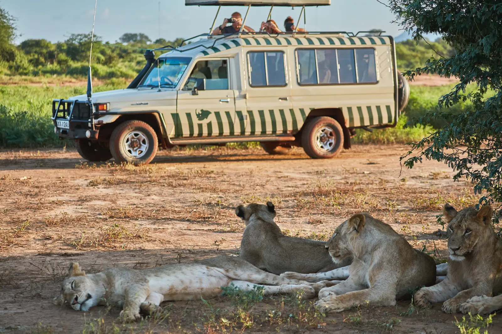 Kenya Safari Adventure
