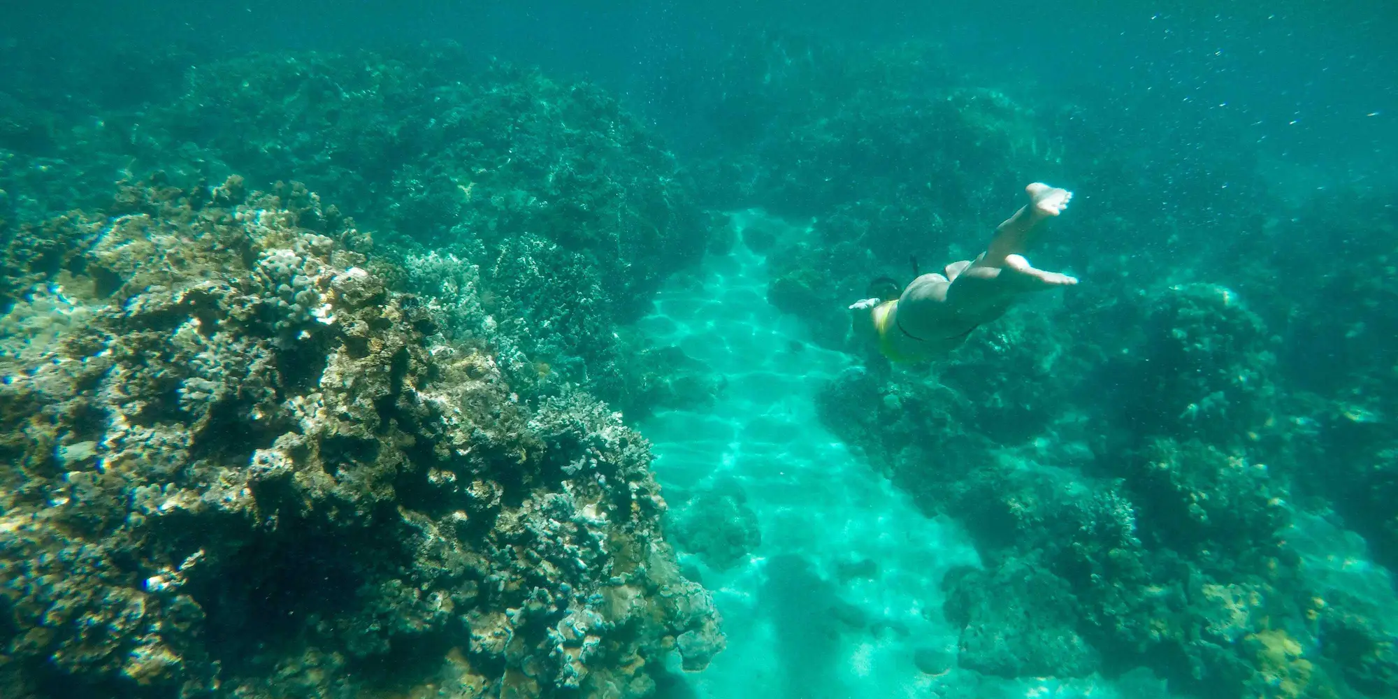 DAY 3: FLIGHT TO THE GREAT BARRIER REEF – CAIRNS