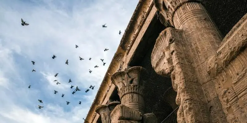  DAY 4 CRUISE - LUXOR – ESNA – EDFU (D, A, C)