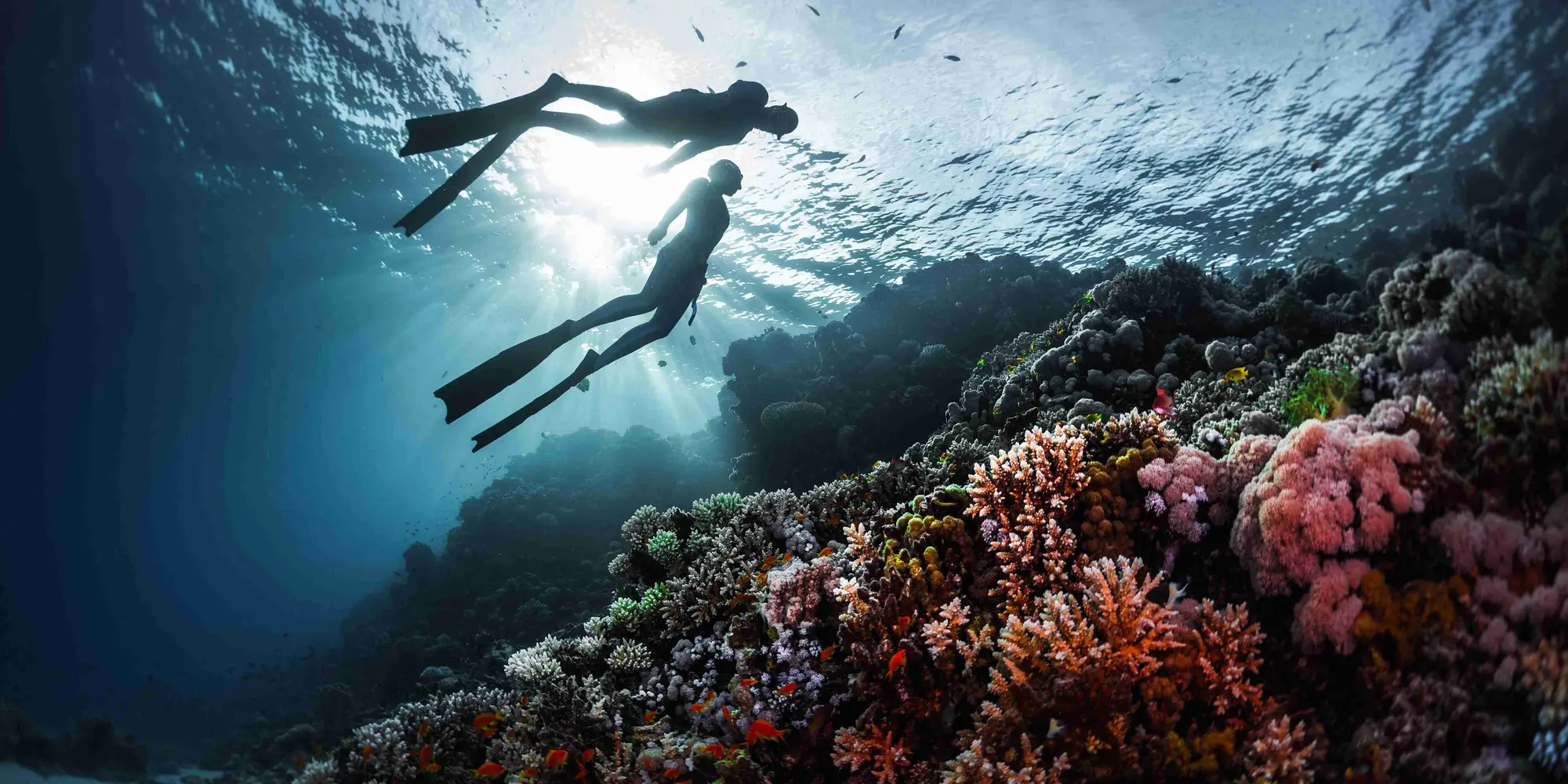 DAY 8 HURGHADA (B, L, D)