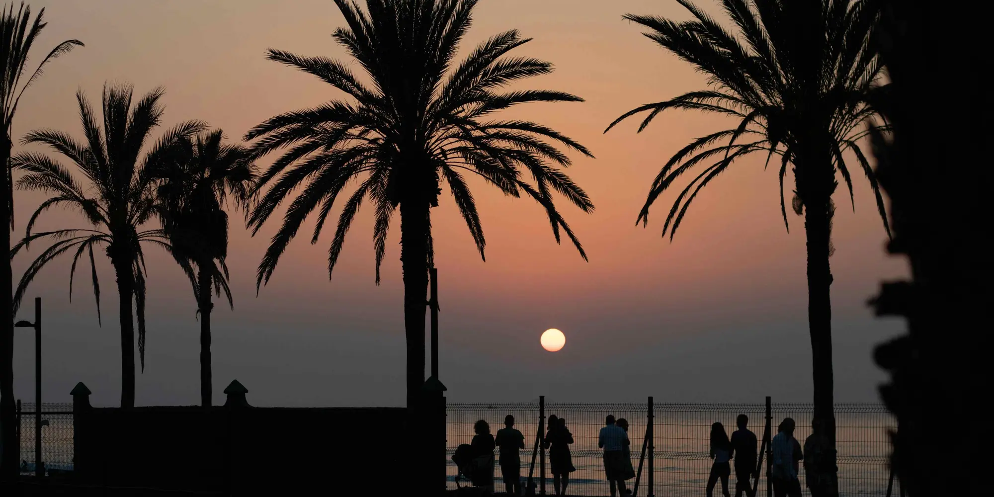 4º GIORNO: Puerto de la Cruz - Santa Cruz de Tenerife – San Cristobal de la Laguna – Puerto de la Cruz