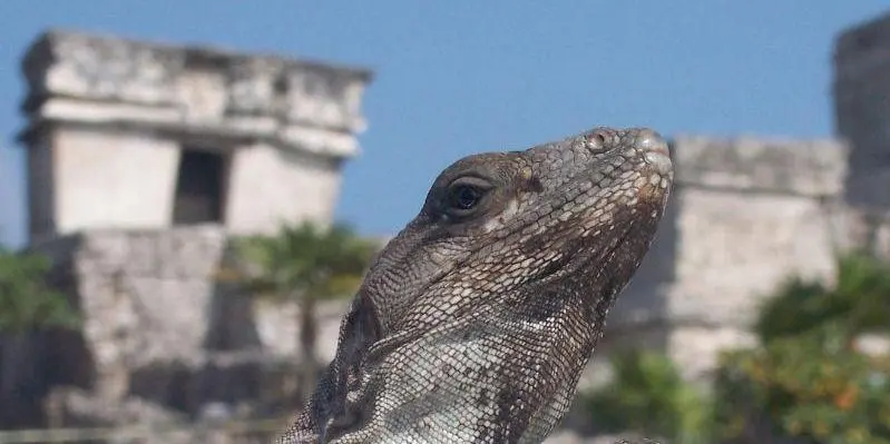 Tulum The only port city in the Mayan world