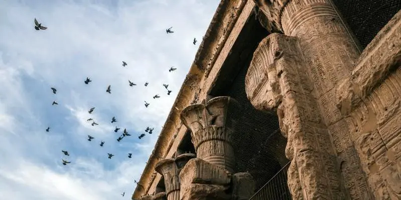 DAY 5 CRUISE - LUXOR – ESNA – EDFU (B, L, D)