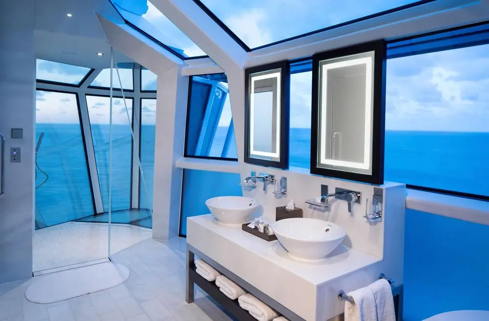 Celebrity Reflection