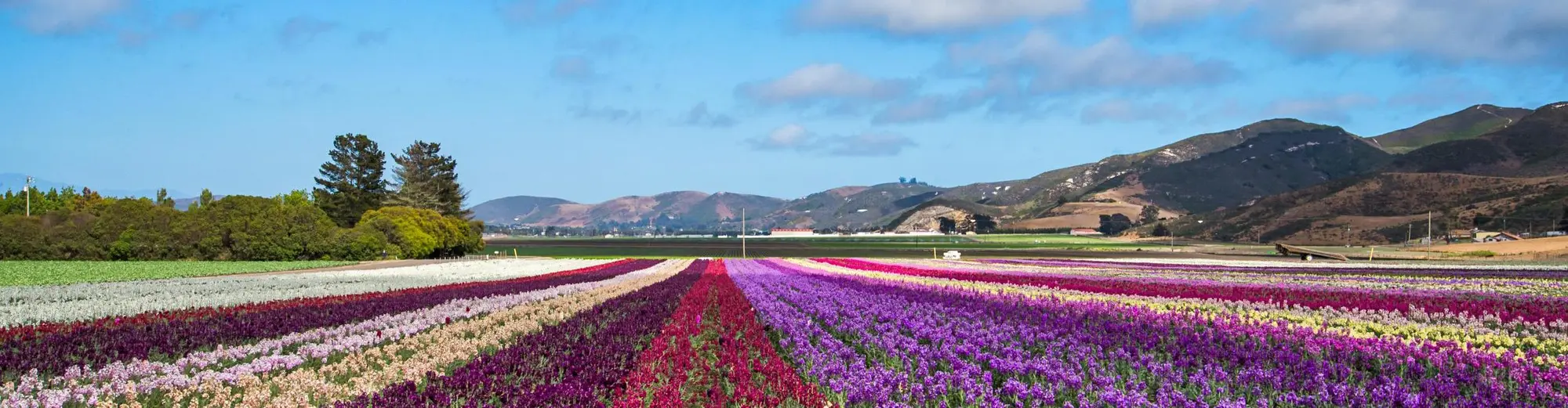 Lompoc CA, United States of America