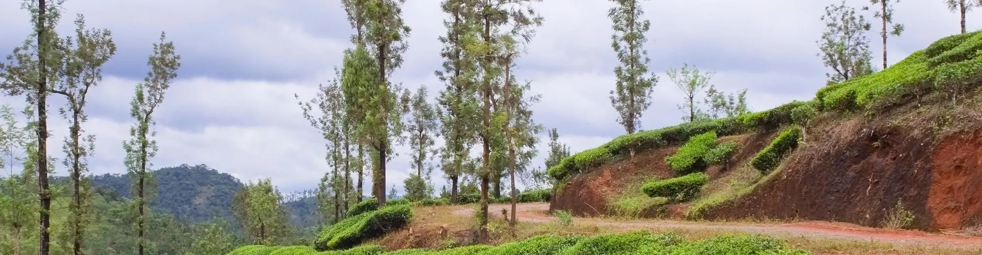 Vythiri, Kerala, Intia