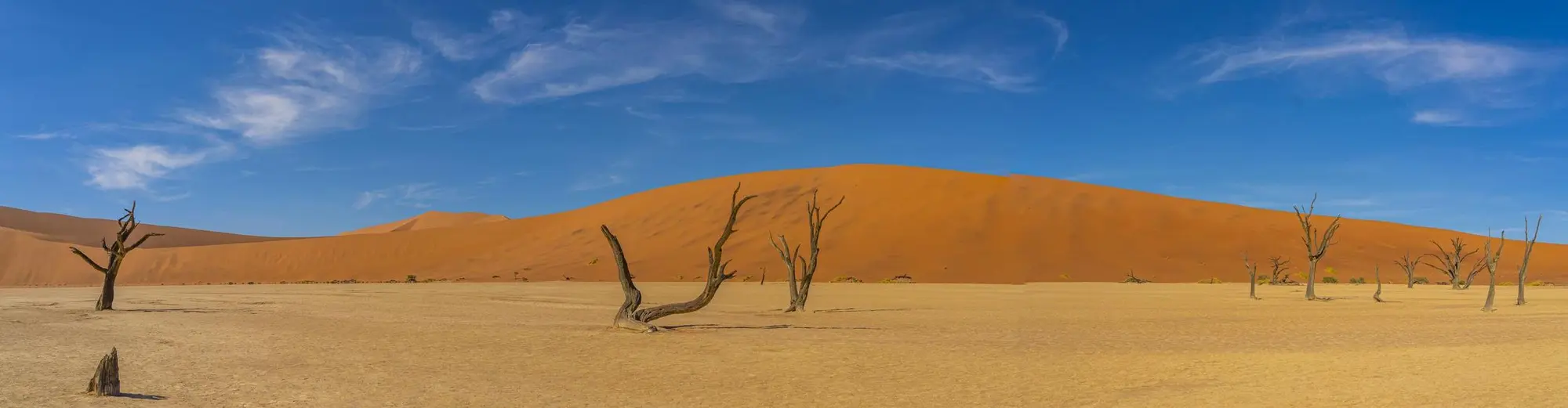 塞斯裡姆·諾克魯夫特, 納米比亞