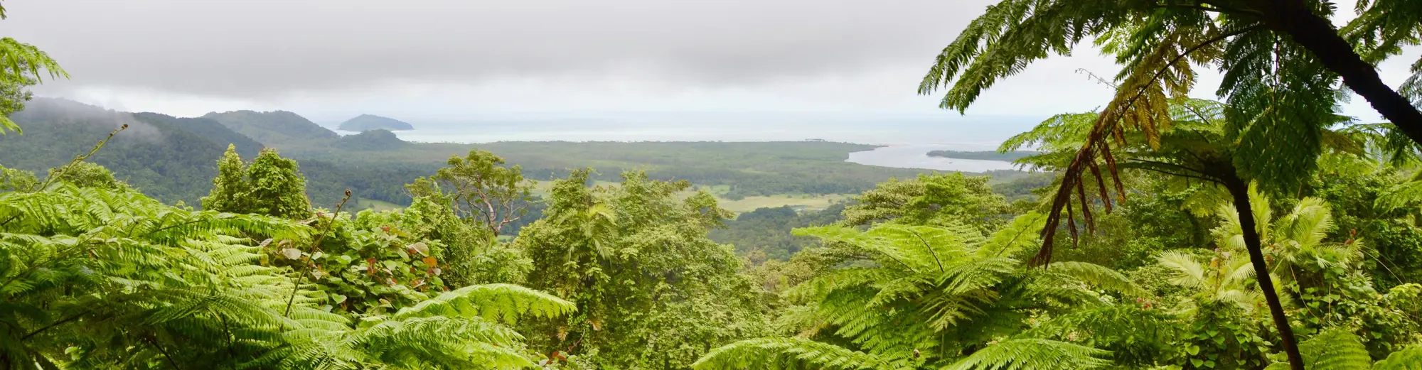 Daintree National Park, Austrália