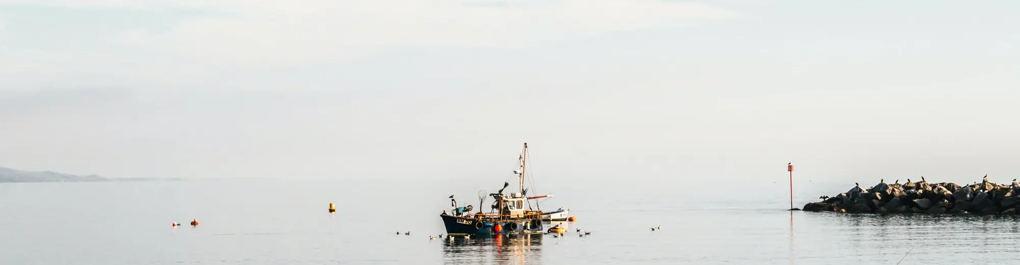 Lyme Regis, Spojené království