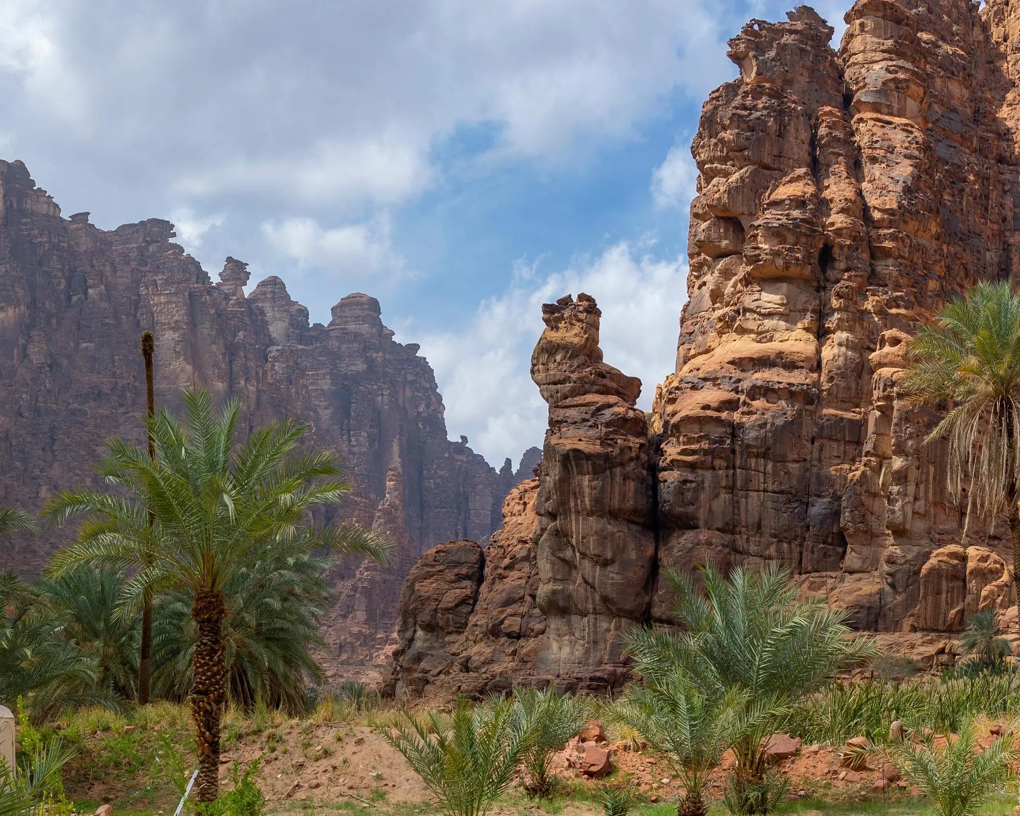 Ad-Disah, Saoedi-Arabië