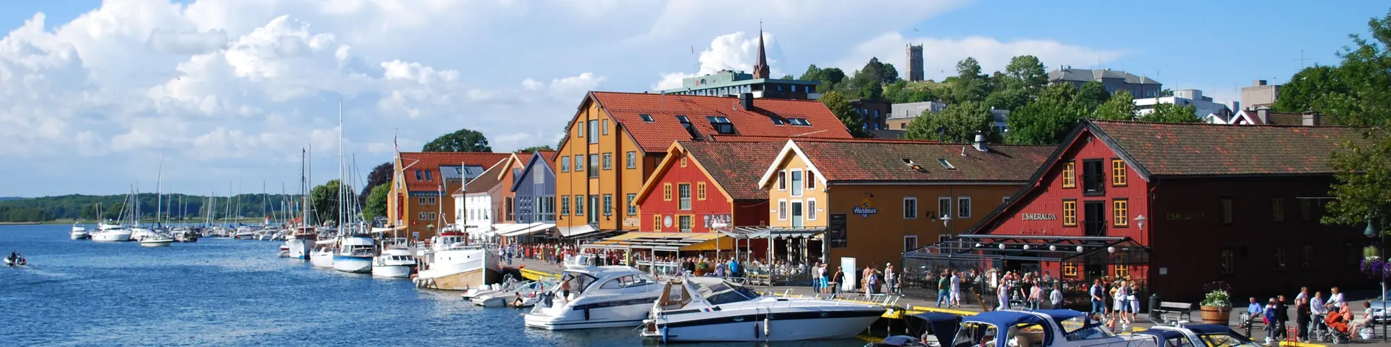 Vestfold og Telemark, Νορβηγία