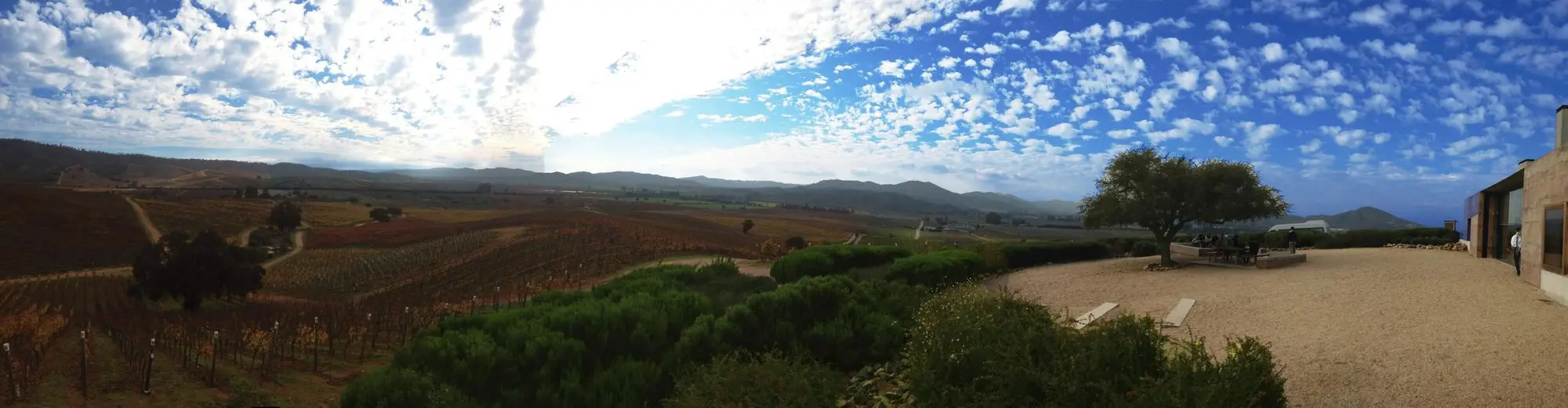 الدار البيضاء, تشيلي