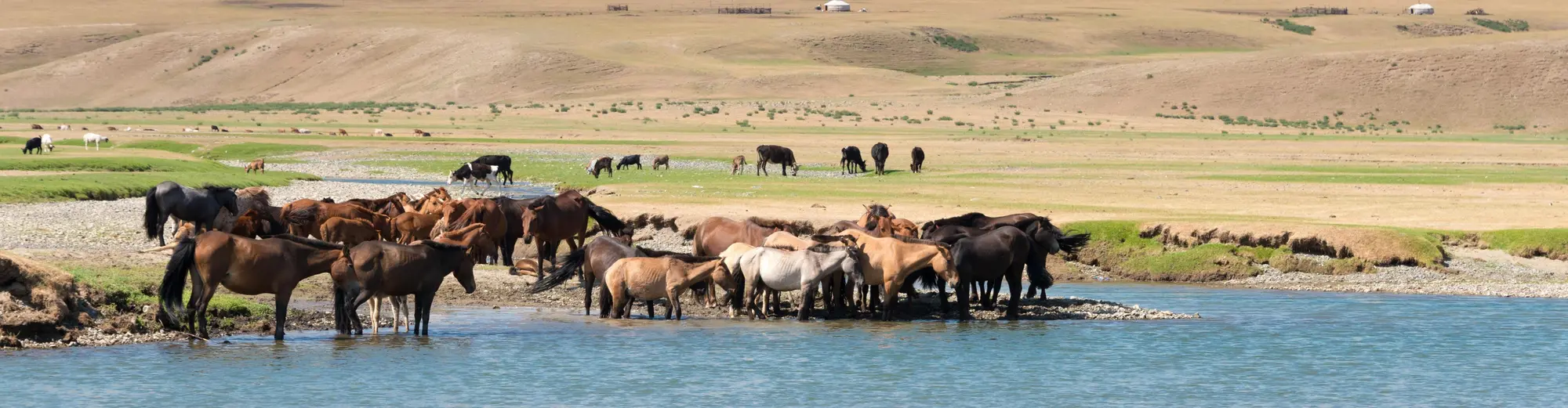 Kharkhorin, Mongolei