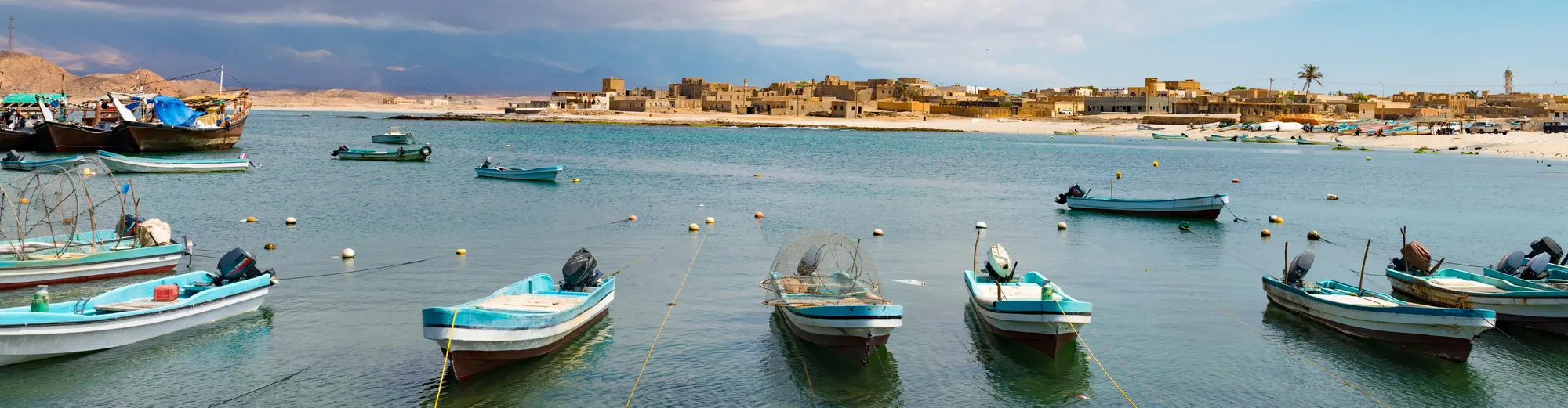Elephant Trainer, Oman