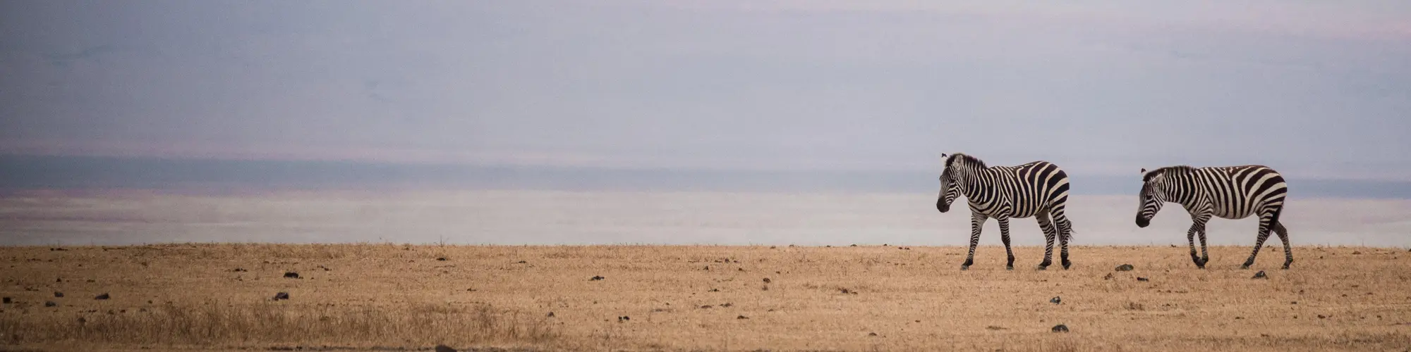 艾雅西湖, 坦桑尼亚