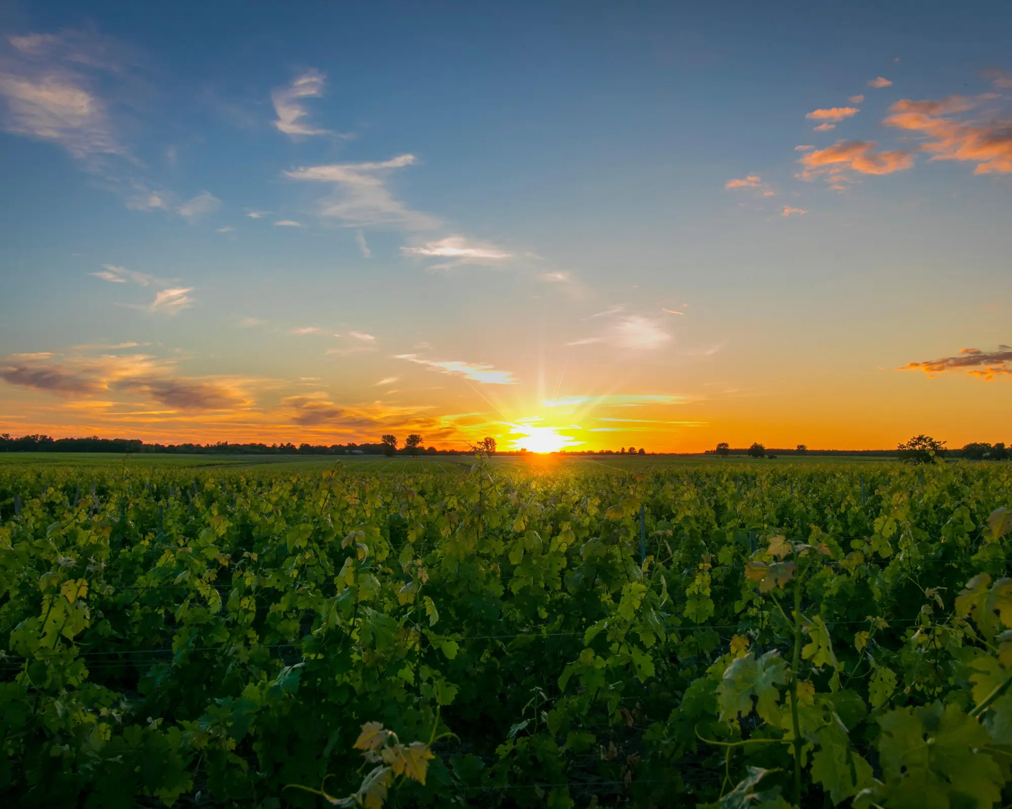 梅多克堡, 法國