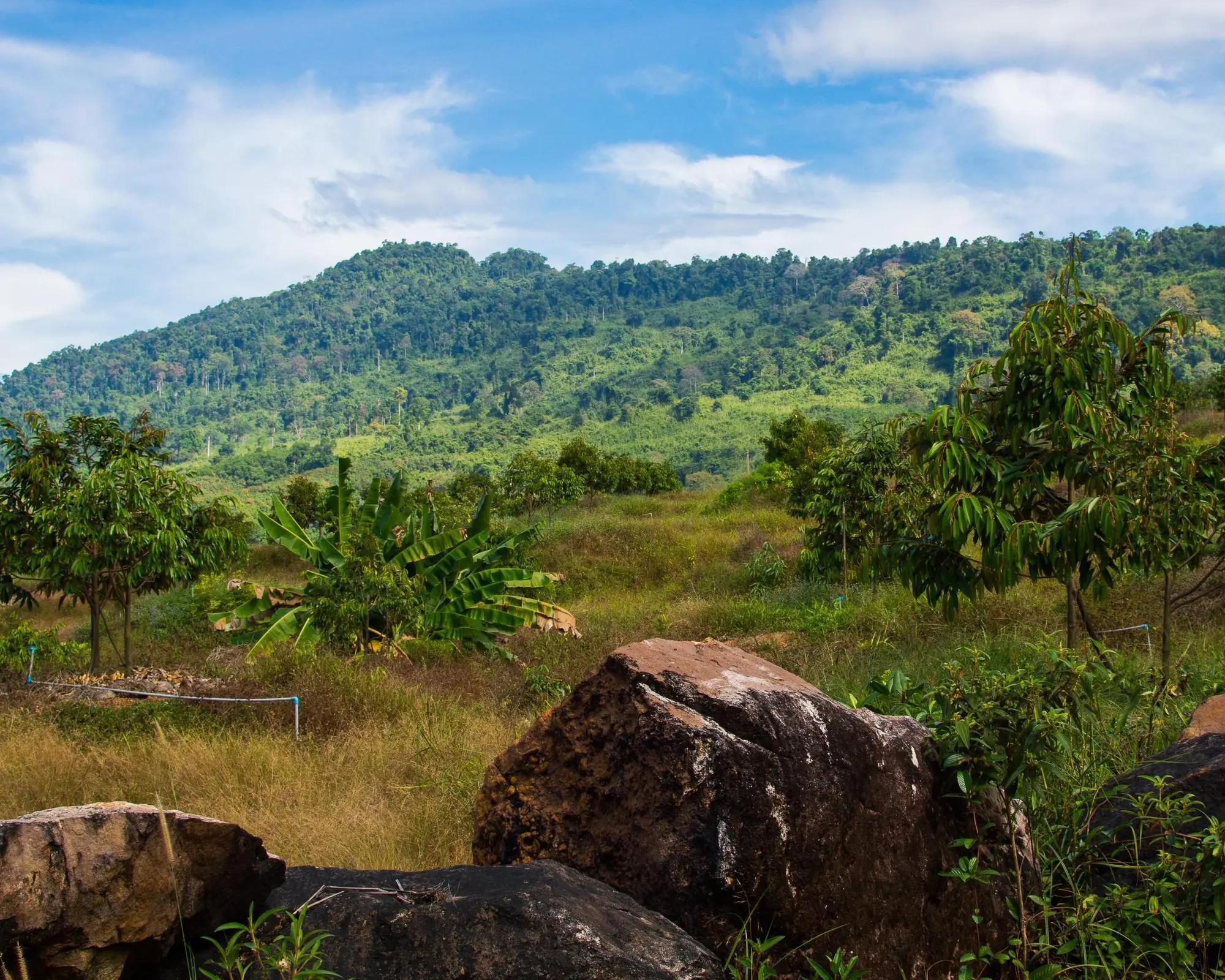 Ban Pakkad, Thailand