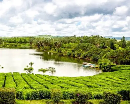 Bois Cheri, Mauritius