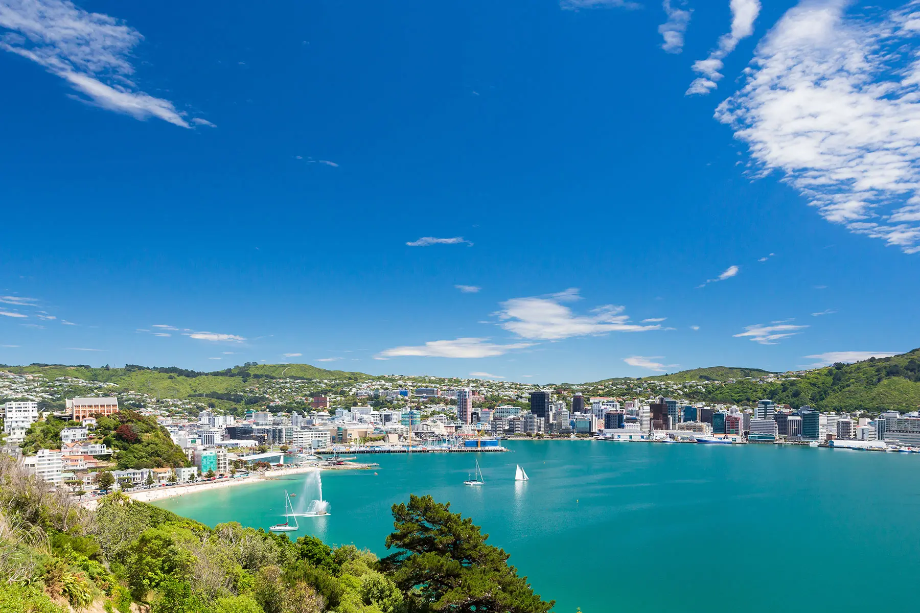 Wellington, New Zealand