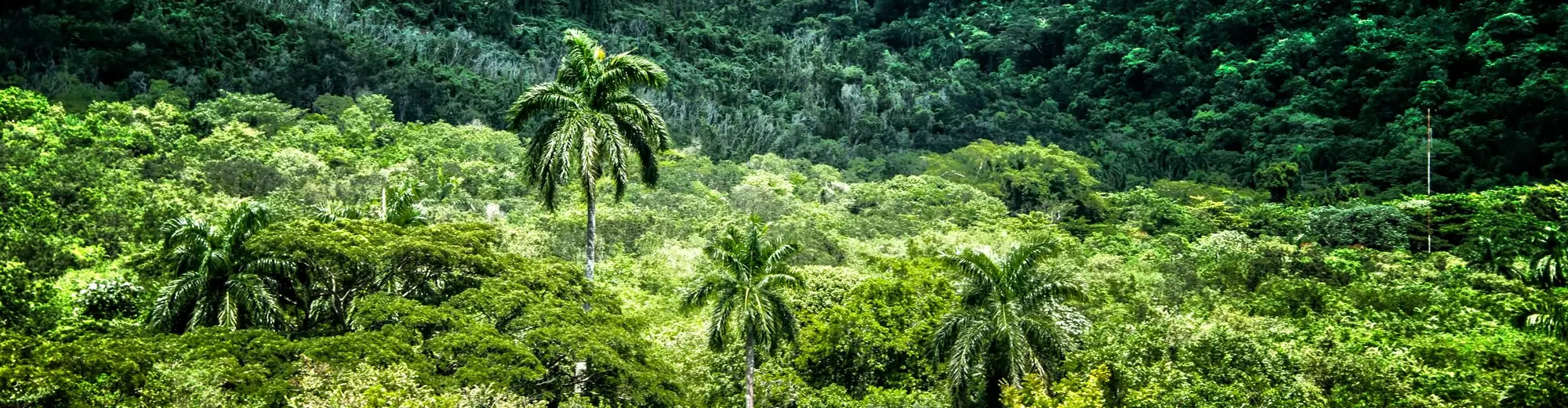 Topes de Collantes, Kuba