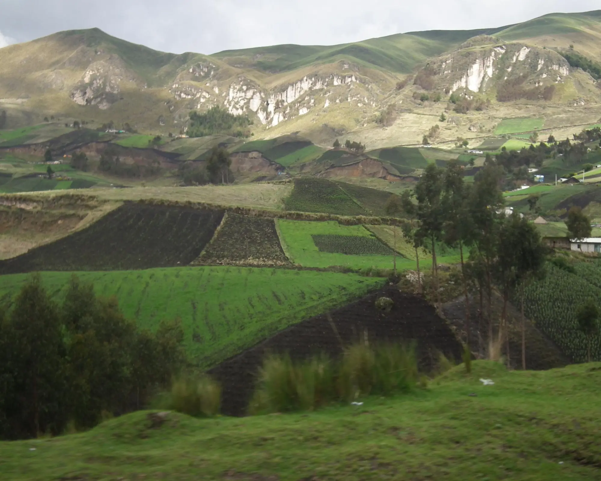 GIR Color Ecuador et Galapagos 2026