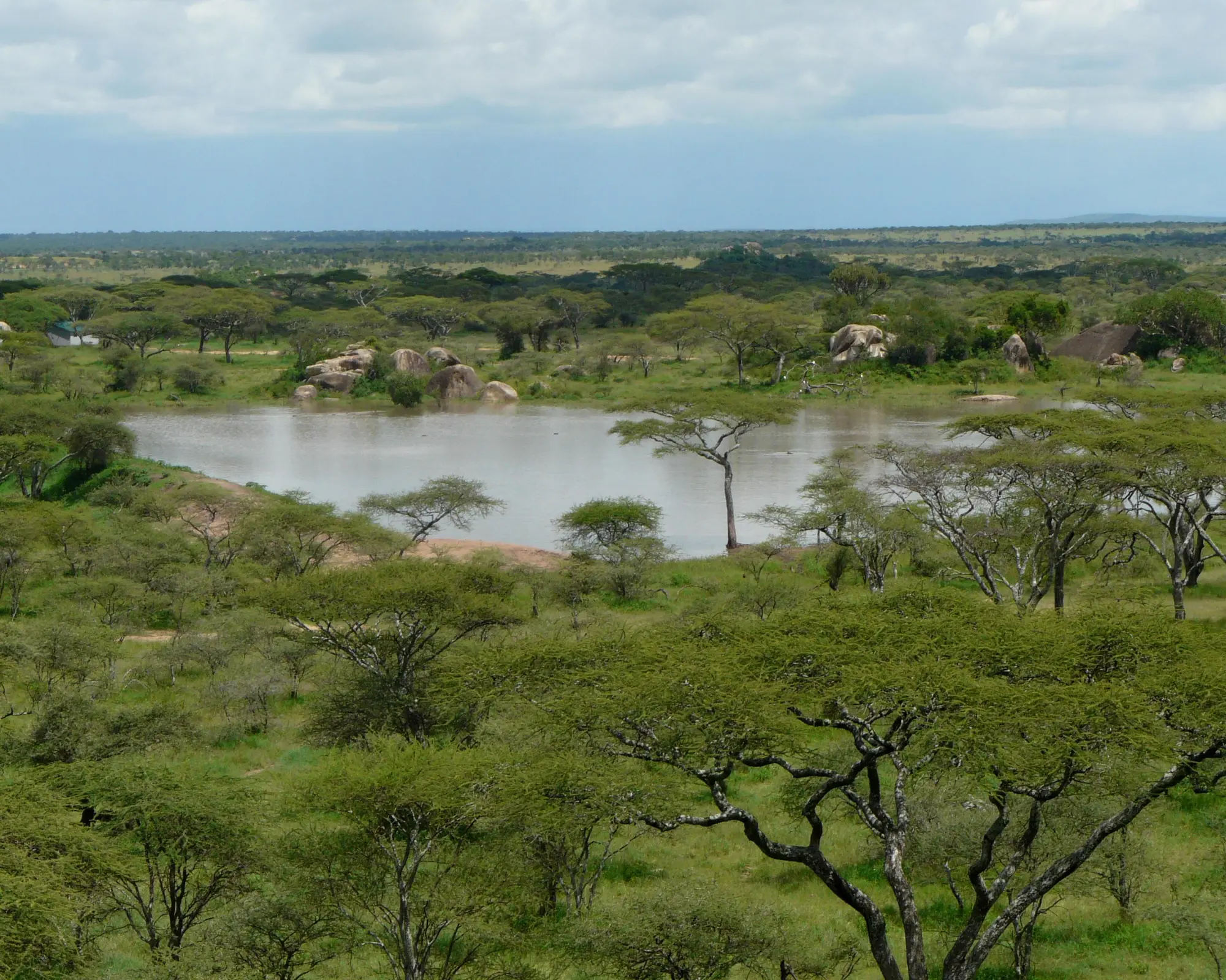 Seronera (Serengeti), Τανζανία