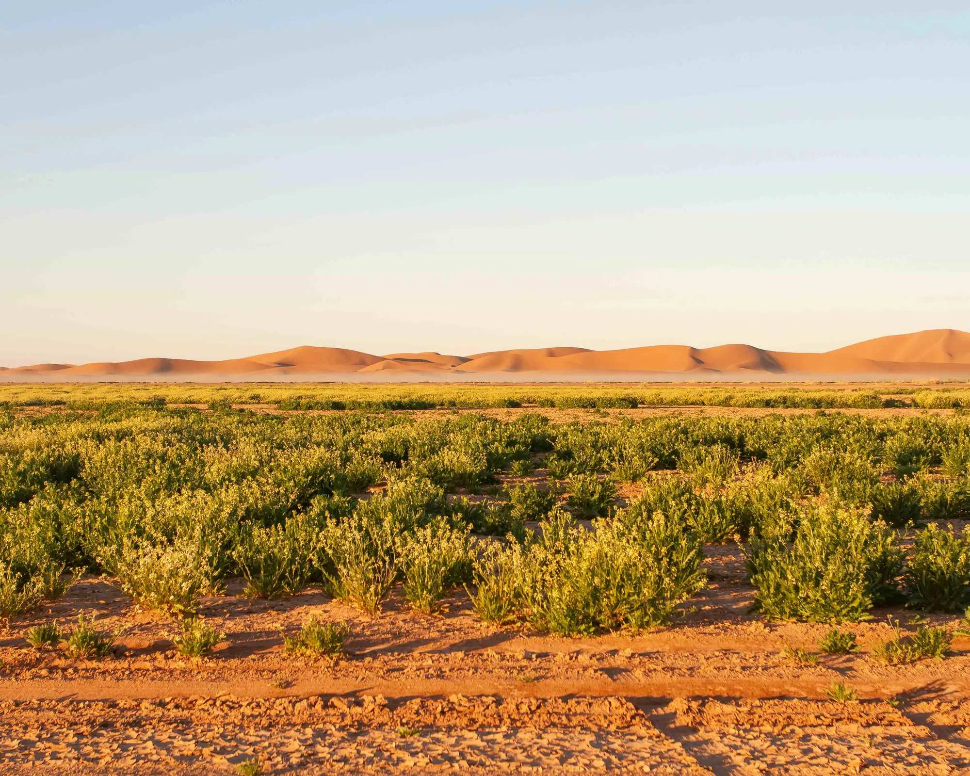 محمد, مراکش