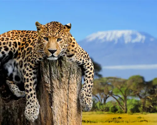 Kilimanjaro, Tanzania