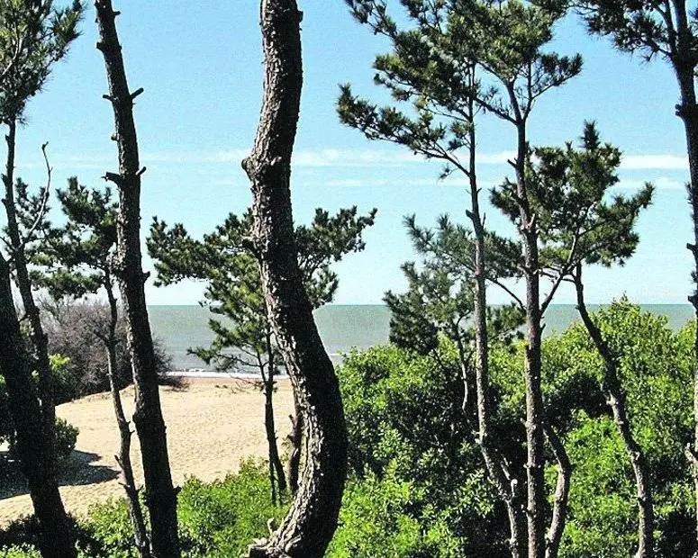 Mar de las Pampas, Argentina