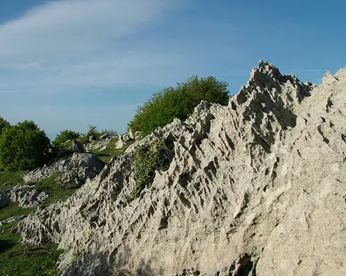 קוסנצה, איטליה