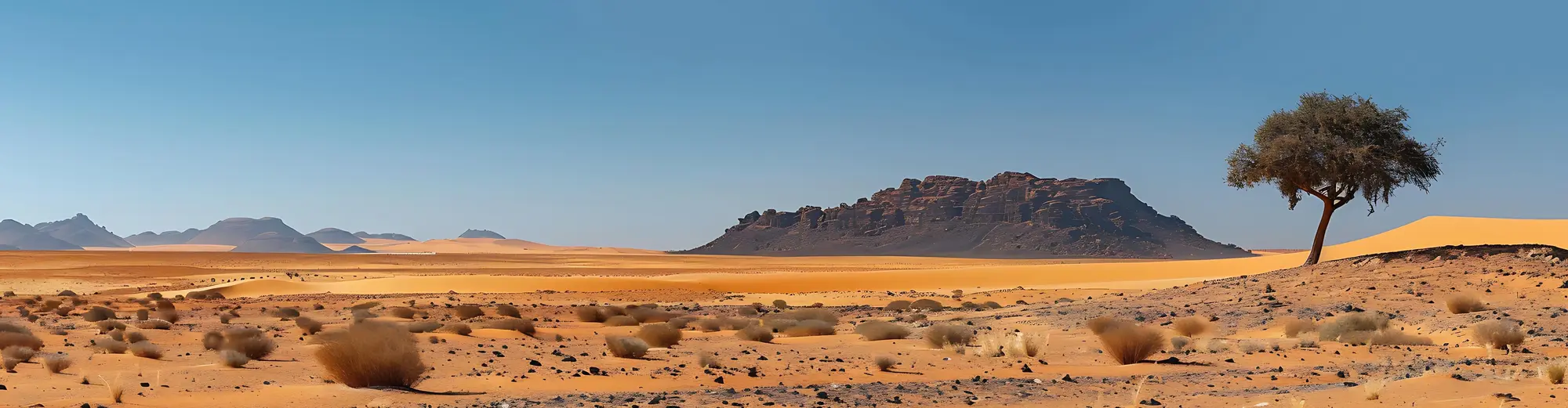 محمد, مراکش