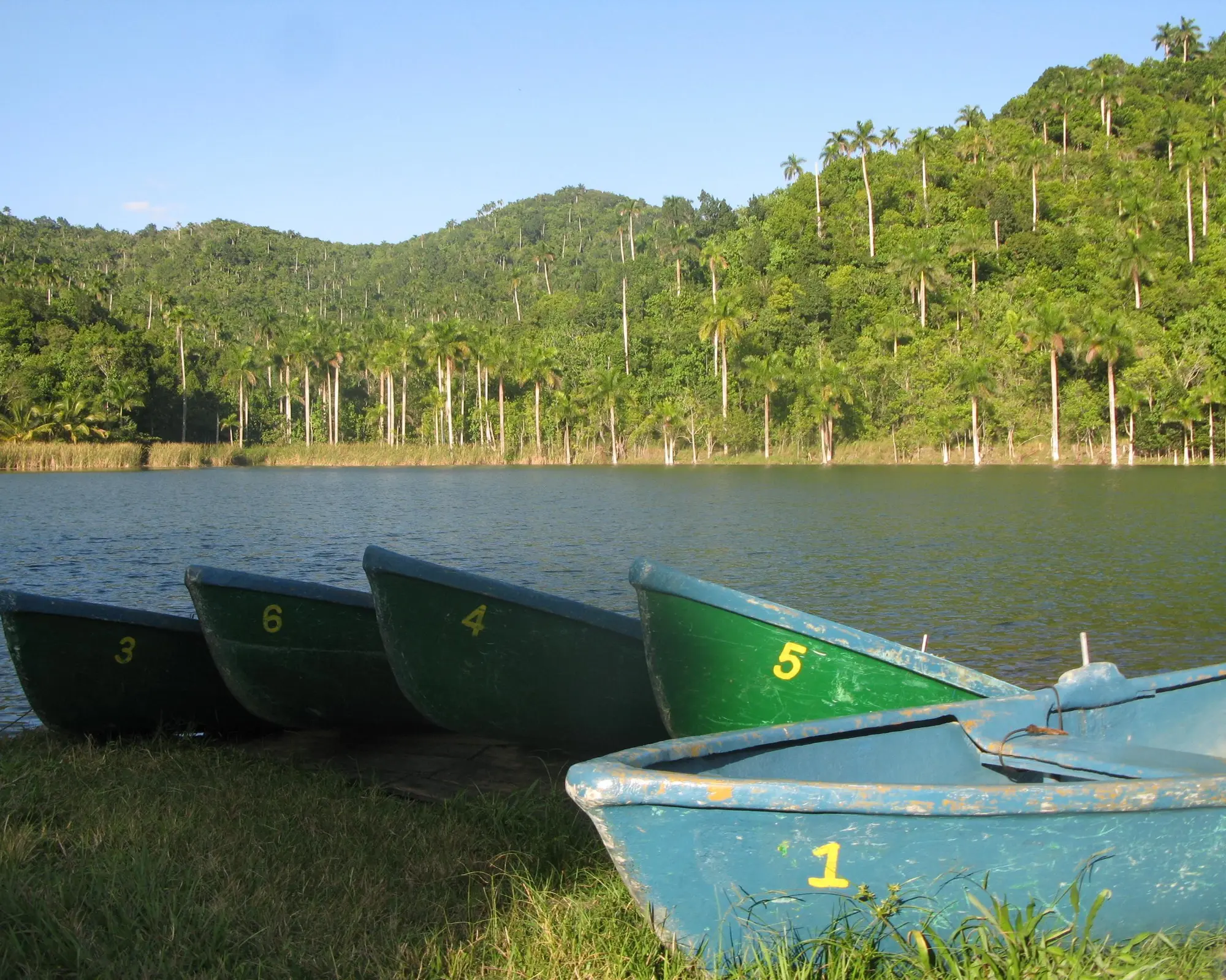 Терасите, Куба
