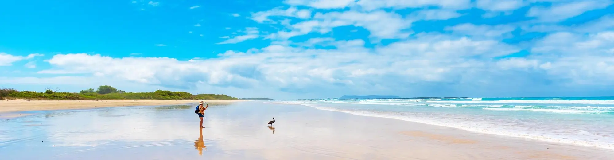 Baltra Island, Galápagos Islands, Ecuador