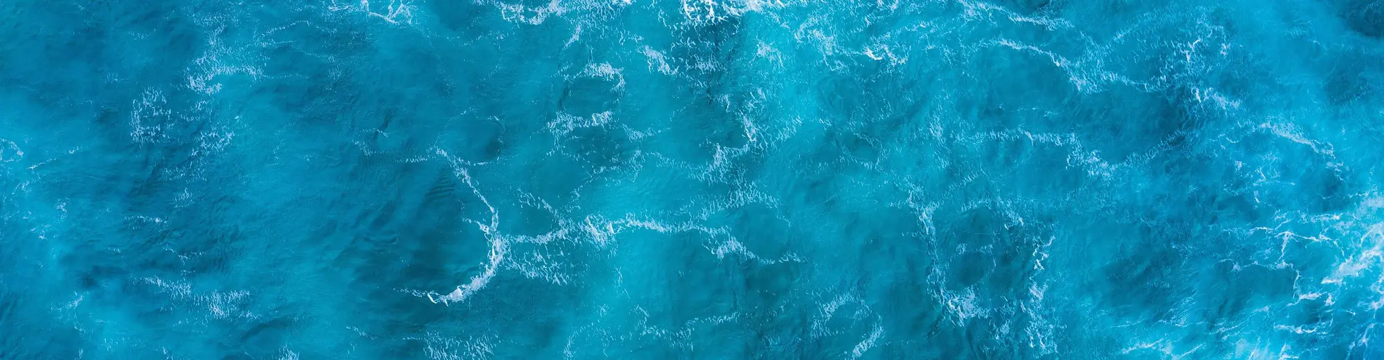 導航中（庫薩達西）, 土耳其