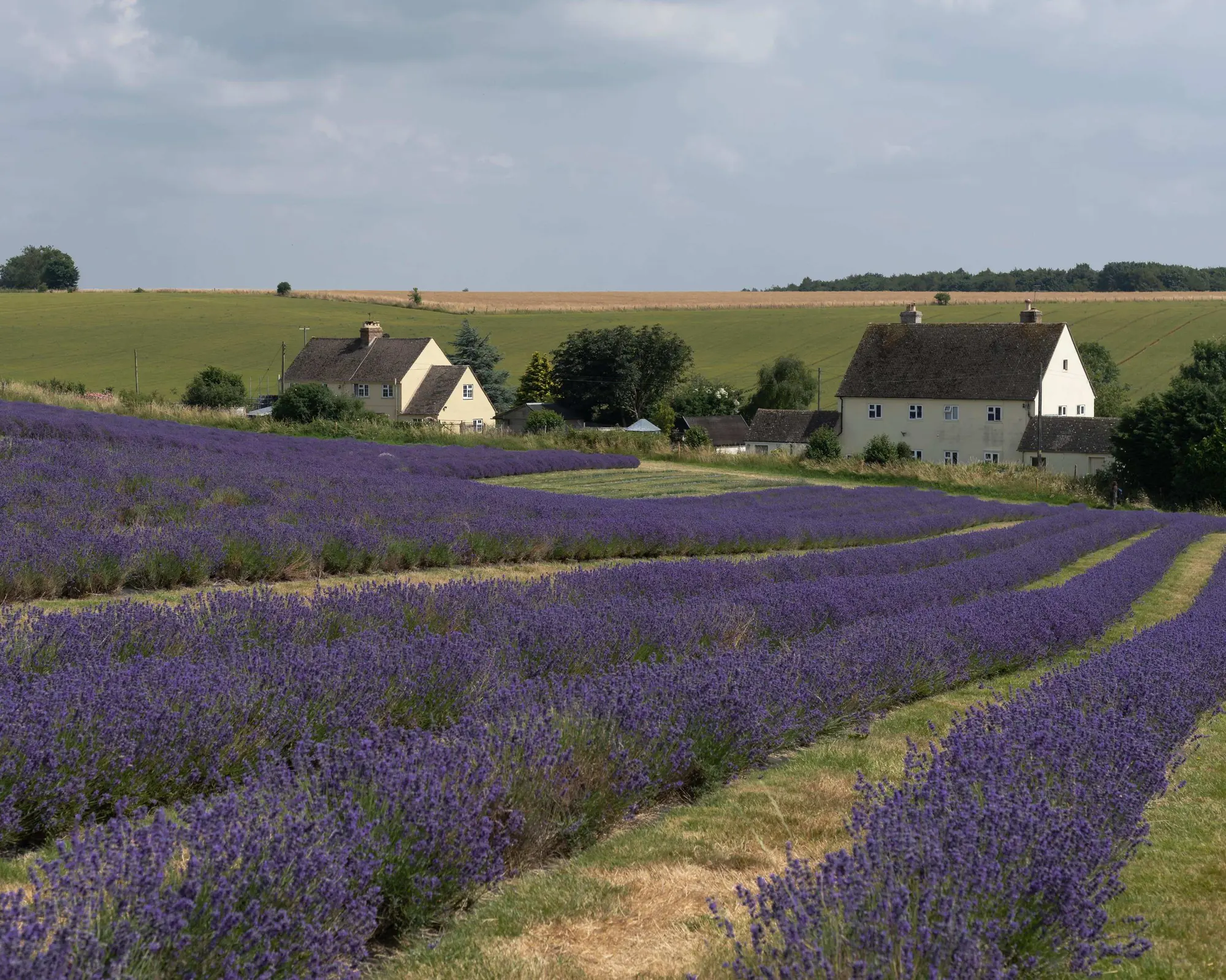 Cotswolds, Birləşmiş Krallıq